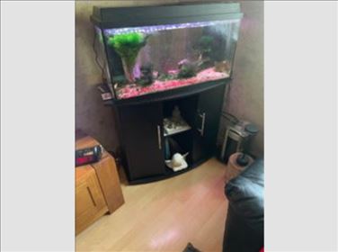 Abbildung: Aquarium